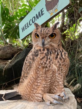 伊豆シャボテン動物公園に投稿された画像（2021/10/3）
