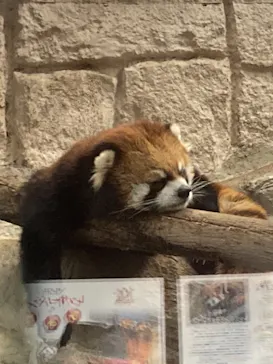 天王寺動物園に投稿された画像（2021/10/3）