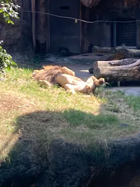 天王寺動物園に投稿された画像（2021/10/3）