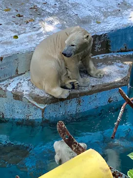 天王寺動物園に投稿された画像（2021/10/3）