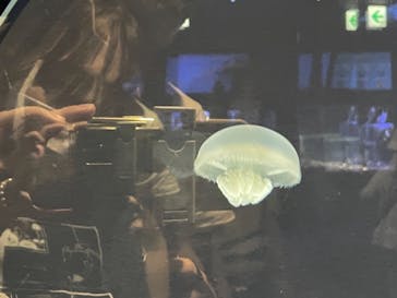 名古屋港水族館に投稿された画像（2021/10/3）