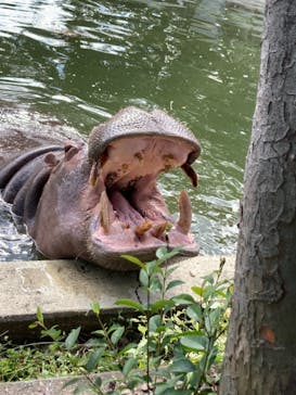 東武動物公園に投稿された画像（2021/10/3）