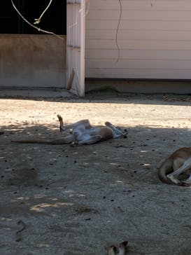 東武動物公園に投稿された画像（2021/10/3）