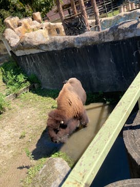 東武動物公園に投稿された画像（2021/10/3）