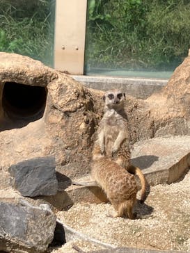 東武動物公園に投稿された画像（2021/10/3）