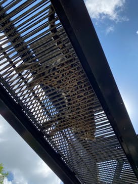 沖縄こどもの国に投稿された画像（2021/10/3）