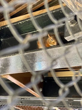 沖縄こどもの国に投稿された画像（2021/10/3）