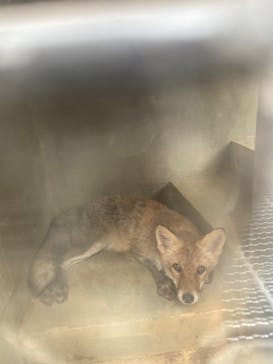 沖縄こどもの国に投稿された画像（2021/10/3）