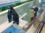 天王寺動物園に投稿された画像（2021/10/3）