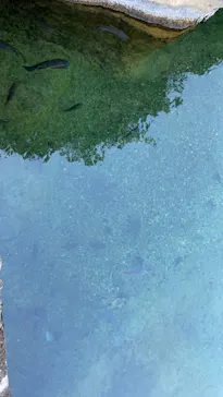 天王寺動物園に投稿された画像（2021/10/3）