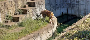 天王寺動物園に投稿された画像（2021/10/3）