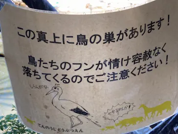 天王寺動物園に投稿された画像（2021/10/3）