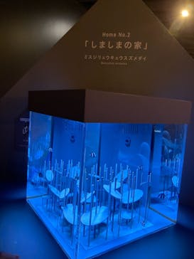 京都水族館に投稿された画像（2021/10/3）