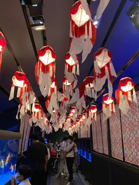 すみだ水族館に投稿された画像（2021/10/3）