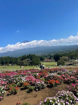 まかいの牧場に投稿された画像（2021/10/3）