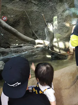 神戸どうぶつ王国に投稿された画像（2021/10/3）