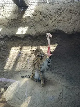 神戸どうぶつ王国に投稿された画像（2021/10/3）