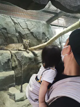 神戸どうぶつ王国に投稿された画像（2021/10/3）