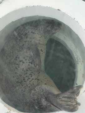 しながわ水族館に投稿された画像（2021/10/3）