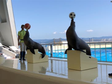 マリンワールド海の中道に投稿された画像（2021/10/3）