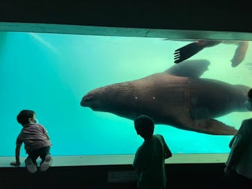 大分マリーンパレス水族館 「うみたまご」に投稿された画像（2021/10/3）
