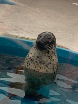 名古屋港水族館に投稿された画像（2021/10/3）