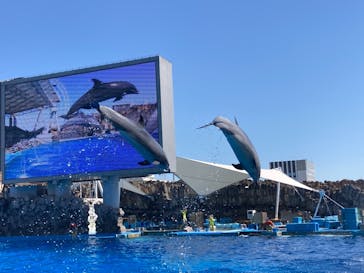 名古屋港水族館に投稿された画像（2021/10/3）
