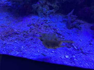 名古屋港水族館に投稿された画像（2021/10/3）