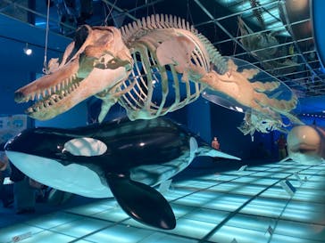 名古屋港水族館に投稿された画像（2021/10/3）