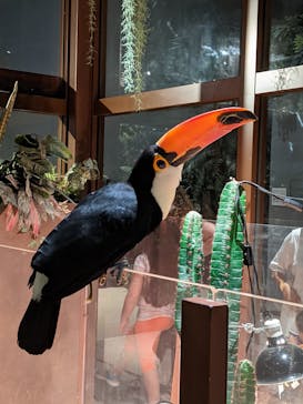 Moff animal world MARK IS みなとみらい店に投稿された画像（2021/10/3）