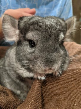 Moff animal world MARK IS みなとみらい店に投稿された画像（2021/10/3）