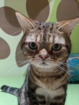 Moff animal world MARK IS みなとみらい店に投稿された画像（2021/10/3）