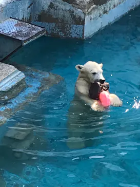 天王寺動物園に投稿された画像（2021/10/3）