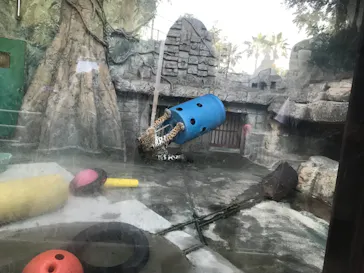 天王寺動物園に投稿された画像（2021/10/3）