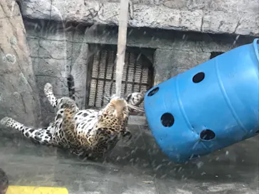 天王寺動物園に投稿された画像（2021/10/3）