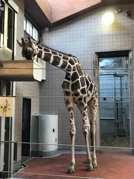 天王寺動物園に投稿された画像（2021/10/3）
