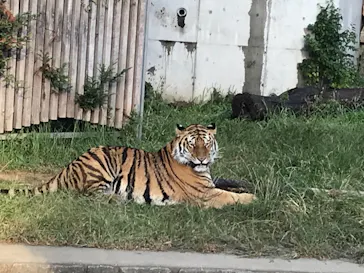 天王寺動物園に投稿された画像（2021/10/3）