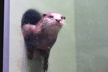 マクセル アクアパーク品川に投稿された画像（2021/10/3）