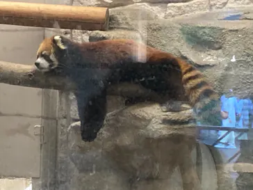 天王寺動物園に投稿された画像（2021/10/3）