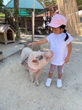 しろとり動物園に投稿された画像（2021/10/3）