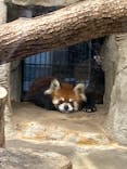 天王寺動物園に投稿された画像（2021/10/3）