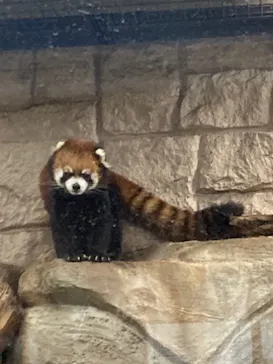 天王寺動物園に投稿された画像（2021/10/3）