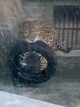 天王寺動物園に投稿された画像（2021/10/3）