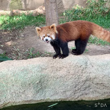 神戸どうぶつ王国に投稿された画像（2021/10/3）