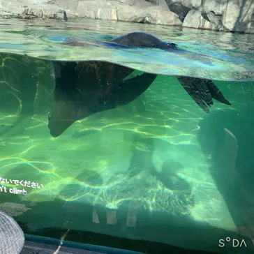 神戸どうぶつ王国に投稿された画像（2021/10/3）