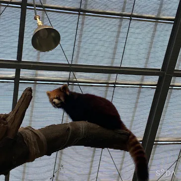 神戸どうぶつ王国に投稿された画像（2021/10/3）