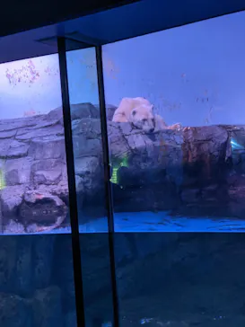 横浜・八景島シーパラダイスに投稿された画像（2021/10/3）