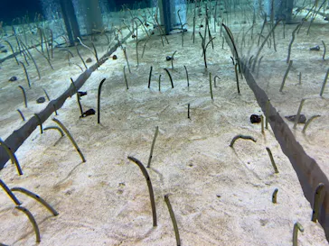 すみだ水族館に投稿された画像（2021/10/3）