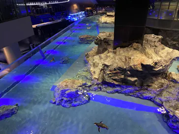 すみだ水族館に投稿された画像（2021/10/3）