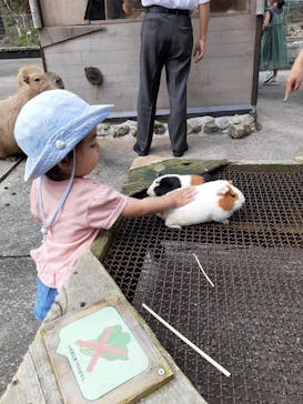 伊豆アニマルキングダムに投稿された画像（2021/10/3）